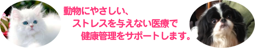 �����ɂ₳�����A�X�g���X��^���Ȃ���ÂŌ��N�Ǘ����T�|�[�g���܂��B